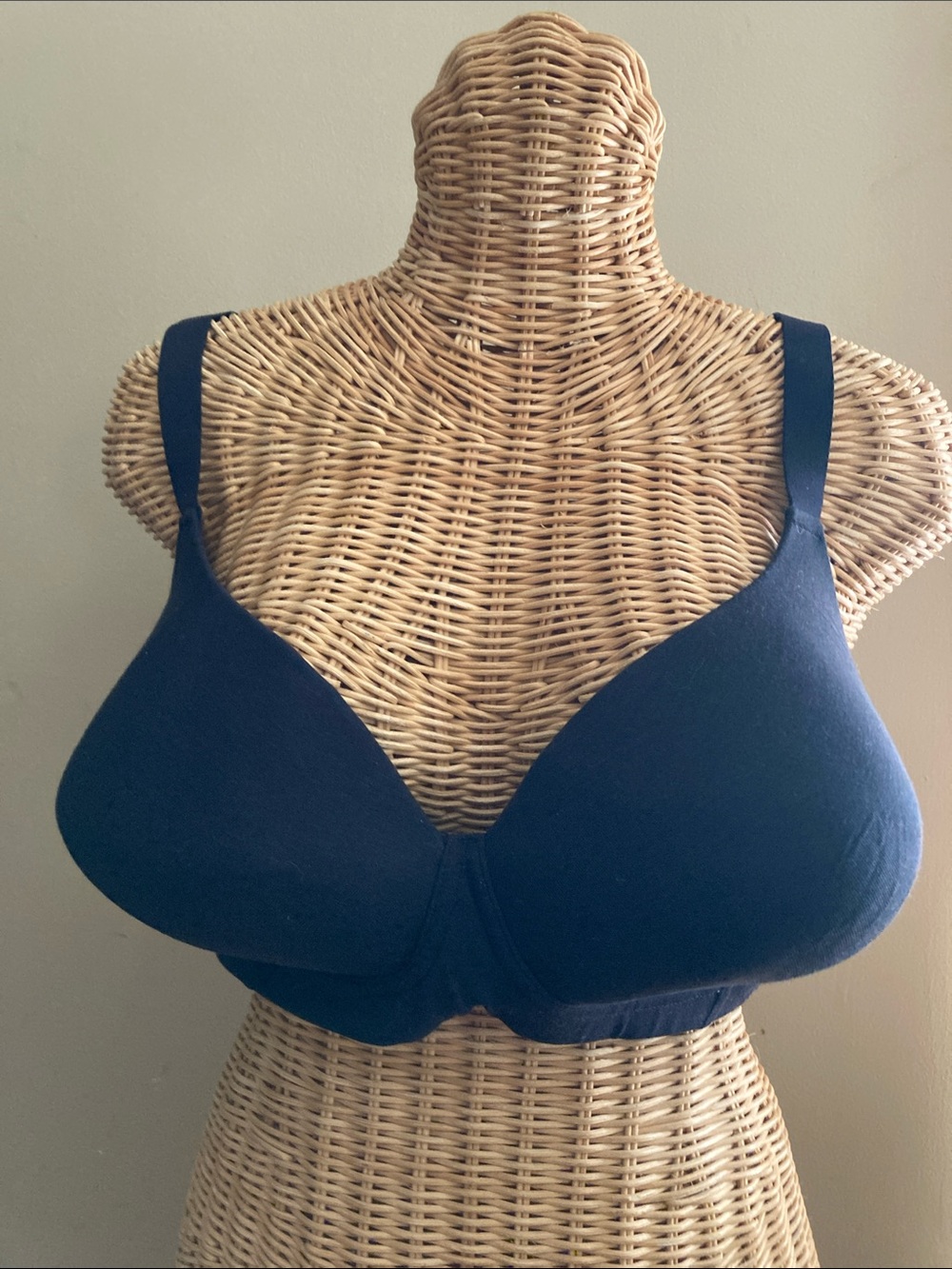 Bali Everyday Smooth Bra 42DD